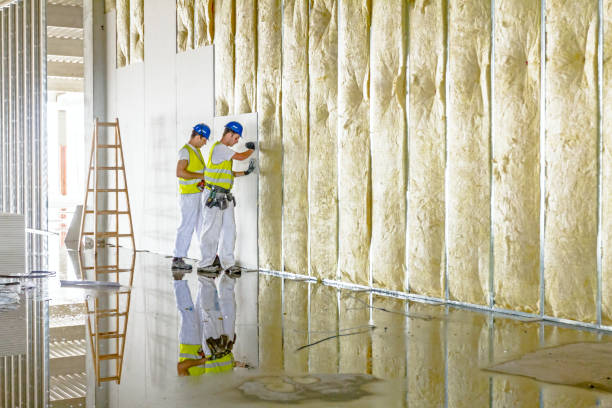 Best Residential Insulation in Poquoson, VA